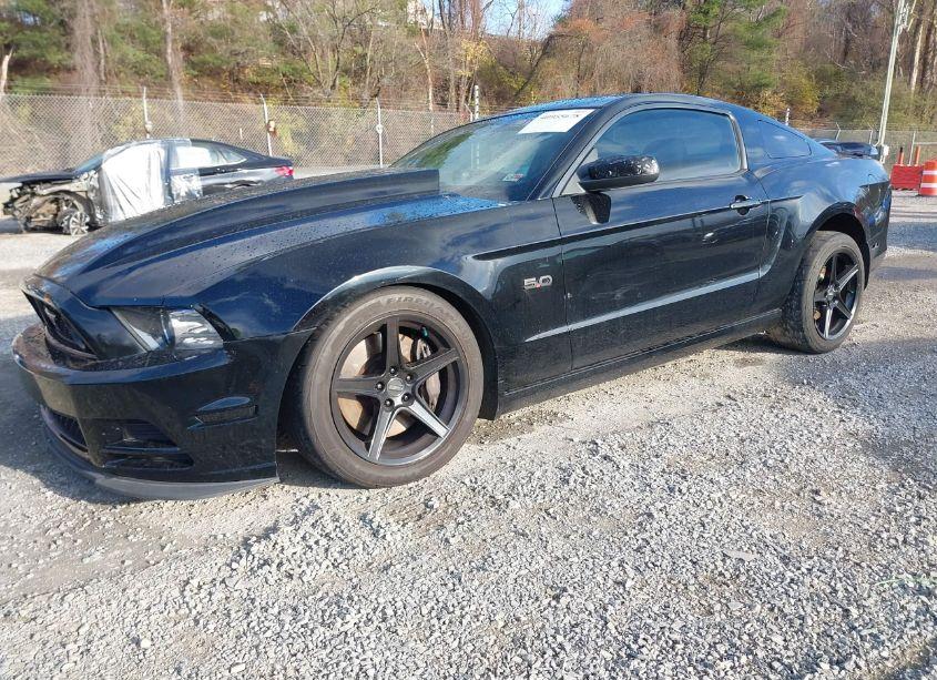 Photo 2 of 2013 Ford Mustang GT (VIN 1ZVBP8CF1D5240974)
