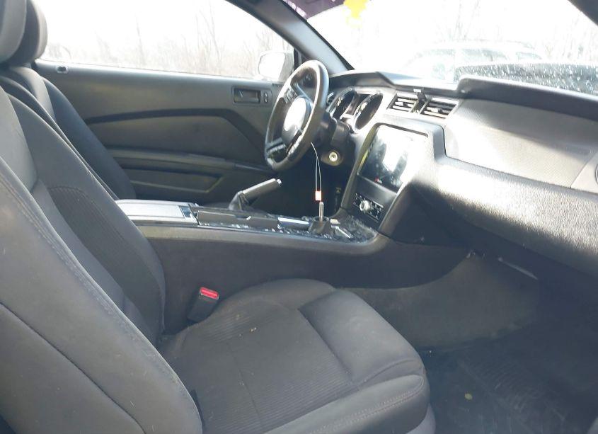 Photo 5 of 2013 Ford Mustang GT (VIN 1ZVBP8CF1D5240974)