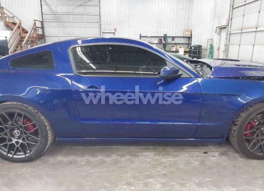 Photo 14 of 2013 Ford Mustang GT PREMIUM (VIN 1ZVBP8CF1D5284621)