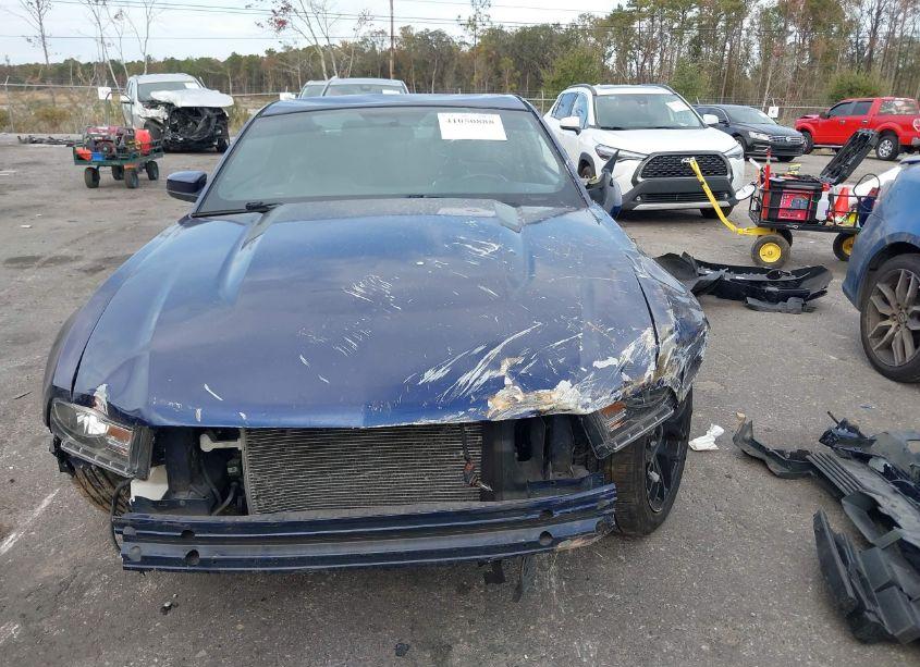 Photo 11 of 2011 Ford Mustang GT PREMIUM (VIN 1ZVBP8CF3B5156989)