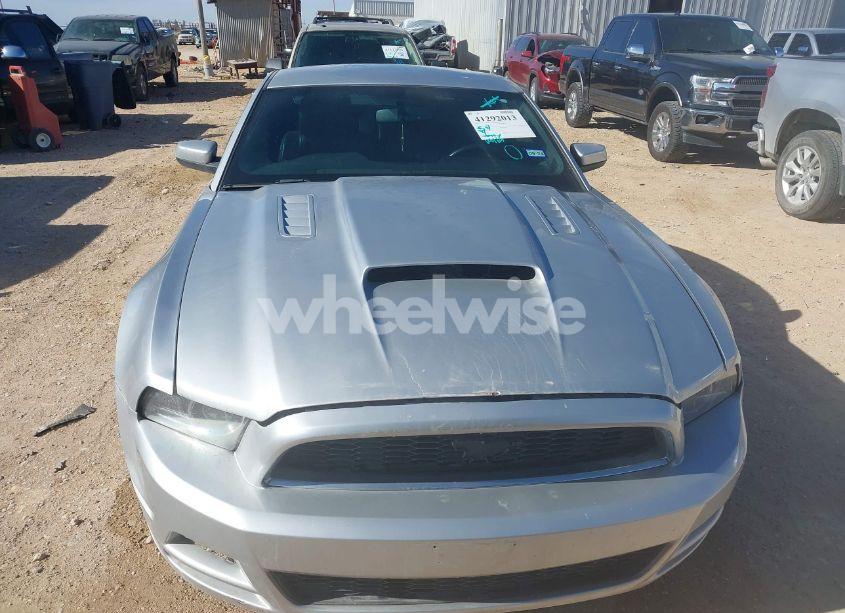 Photo 12 of 2013 Ford Mustang GT PREMIUM (VIN 1ZVBP8CF3D5284233)