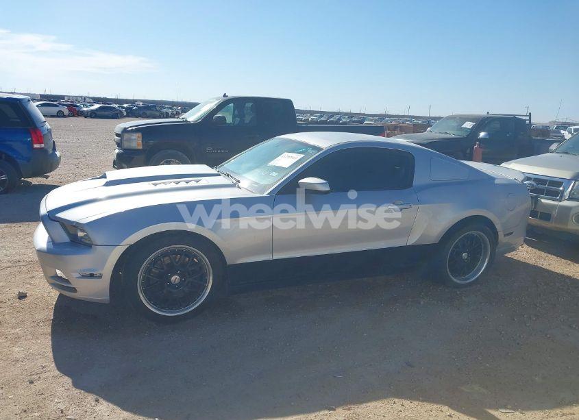 Photo 14 of 2013 Ford Mustang GT PREMIUM (VIN 1ZVBP8CF3D5284233)