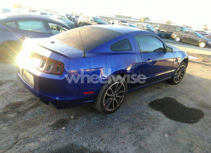 Photo 4 of 2013 Ford Mustang GT PREMIUM (VIN 1ZVBP8CF3D5284491)