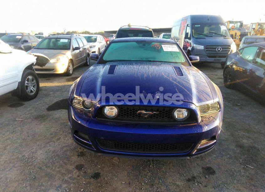 Photo 6 of 2013 Ford Mustang GT PREMIUM (VIN 1ZVBP8CF3D5284491)