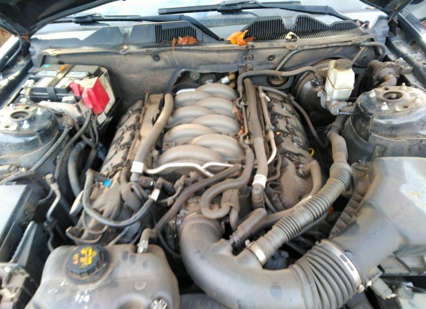 Photo 10 of 2014 Ford Mustang GT PREMIUM (VIN 1ZVBP8CF3E5289966)