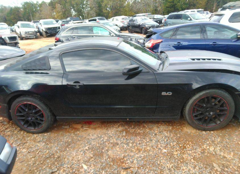 Photo 13 of 2014 Ford Mustang GT PREMIUM (VIN 1ZVBP8CF3E5289966)