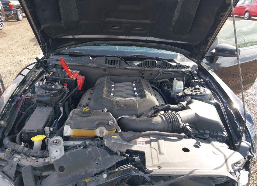 Photo 10 of 2014 Ford Mustang GT (VIN 1ZVBP8CF3E5326658)