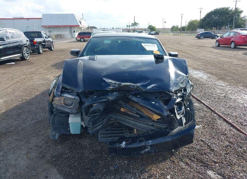 Photo 13 of 2014 Ford Mustang GT (VIN 1ZVBP8CF3E5326658)