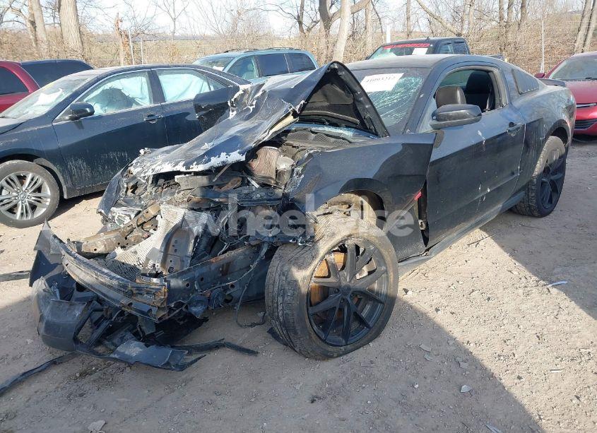 Photo 6 of 2011 Ford Mustang GT PREMIUM (VIN 1ZVBP8CF4B5133673)