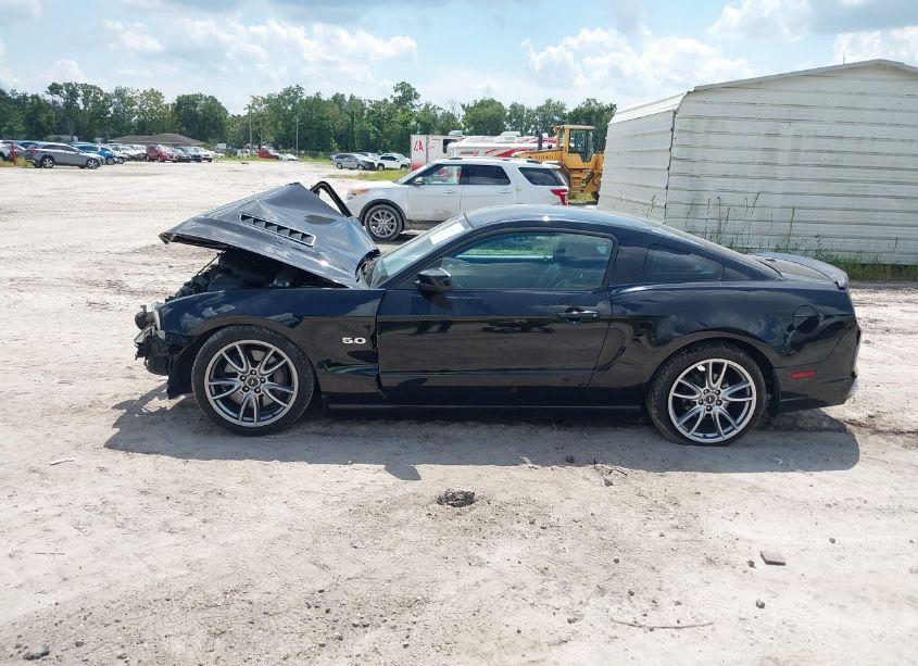 Photo 13 of 2013 Ford Mustang GT PREMIUM (VIN 1ZVBP8CF4D5200436)