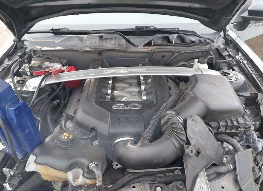 Photo 10 of 2013 Ford Mustang GT PREMIUM (VIN 1ZVBP8CF4D5238197)