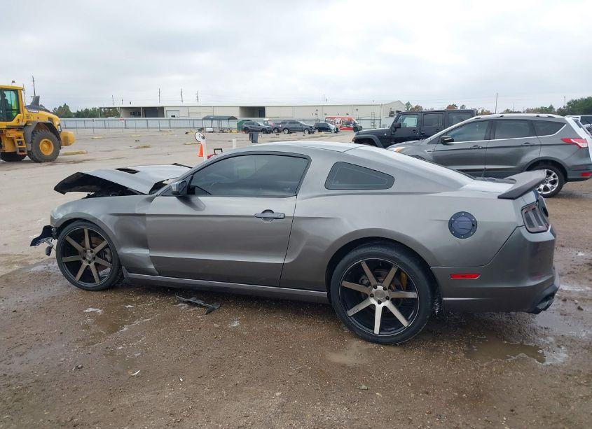 Photo 15 of 2014 Ford Mustang GT (VIN 1ZVBP8CF4E5297607)