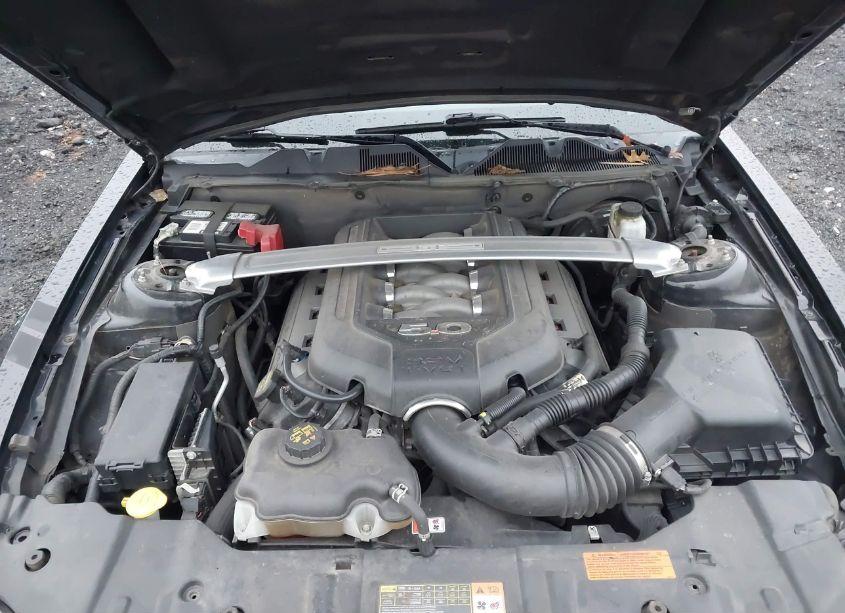 Photo 10 of 2014 Ford Mustang GT/GT PREMIUM (VIN 1ZVBP8CF4ES306001)