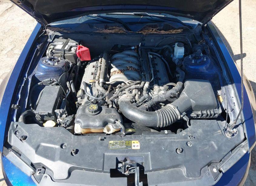 Photo 10 of 2011 Ford Mustang GT PREMIUM (VIN 1ZVBP8CF6B5138180)