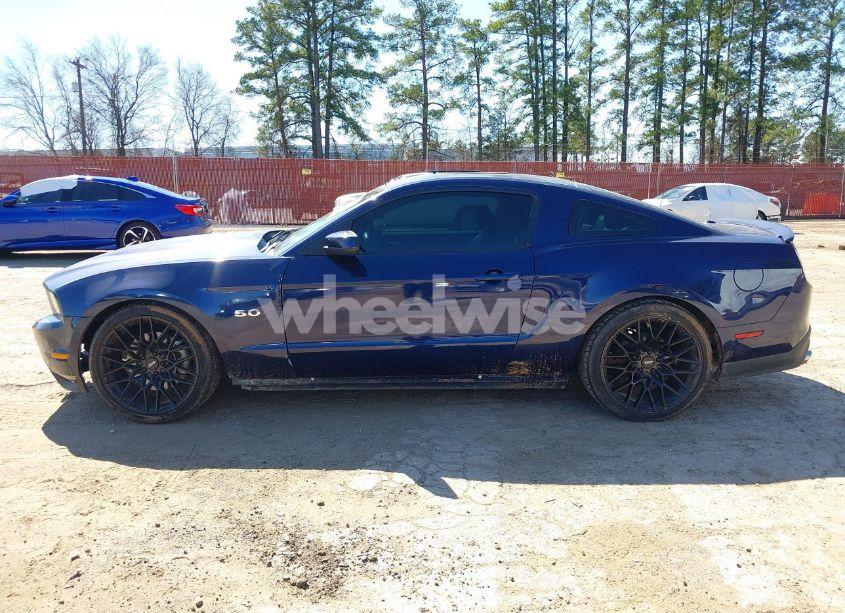Photo 14 of 2011 Ford Mustang GT PREMIUM (VIN 1ZVBP8CF6B5138180)