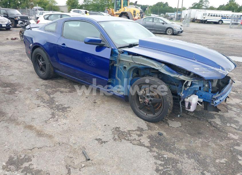 2014 Ford Mustang GT (VIN 1ZVBP8CF6E5283319) main photo