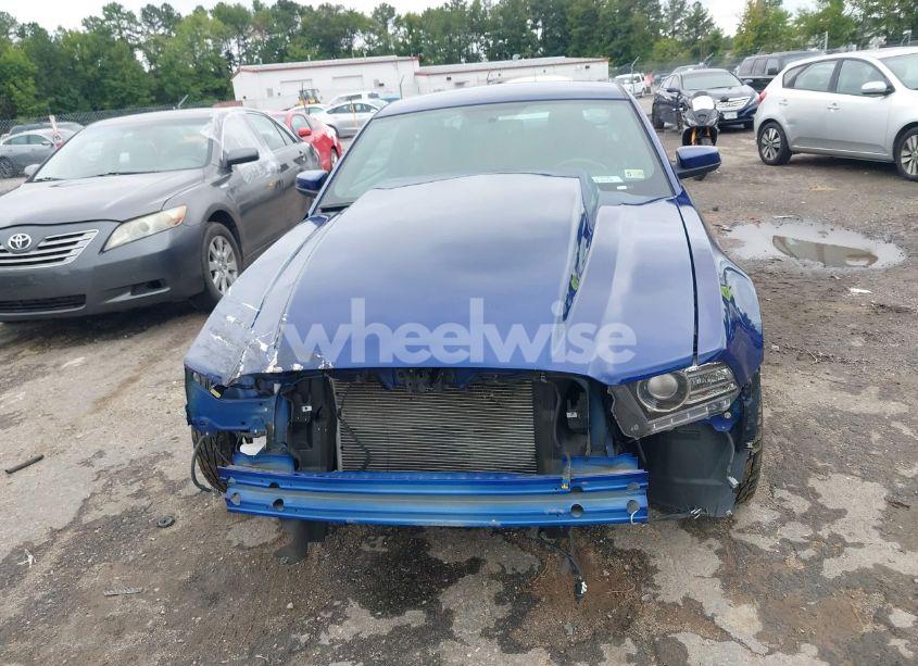 Photo 12 of 2014 Ford Mustang GT (VIN 1ZVBP8CF6E5283319)