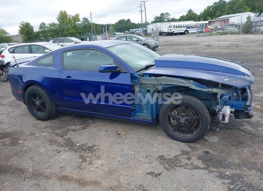 Photo 13 of 2014 Ford Mustang GT (VIN 1ZVBP8CF6E5283319)