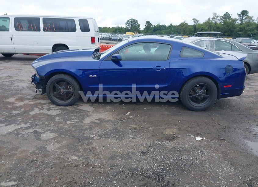 Photo 14 of 2014 Ford Mustang GT (VIN 1ZVBP8CF6E5283319)