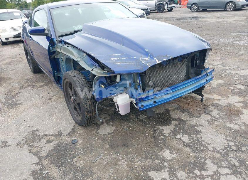 Photo 6 of 2014 Ford Mustang GT (VIN 1ZVBP8CF6E5283319)