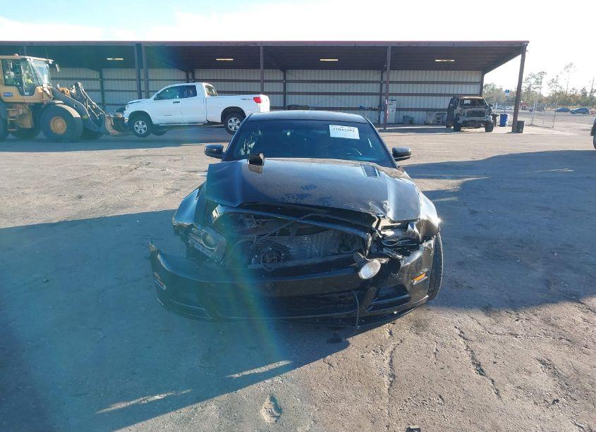 Photo 13 of 2014 Ford Mustang GT PREMIUM (VIN 1ZVBP8CF6E5303309)