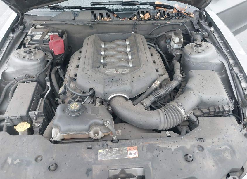 Photo 10 of 2011 Ford Mustang GT (VIN 1ZVBP8CF7B5119637)