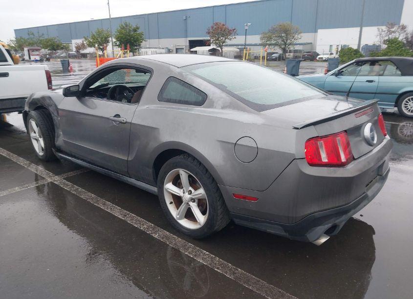 Photo 3 of 2011 Ford Mustang GT (VIN 1ZVBP8CF7B5119637)