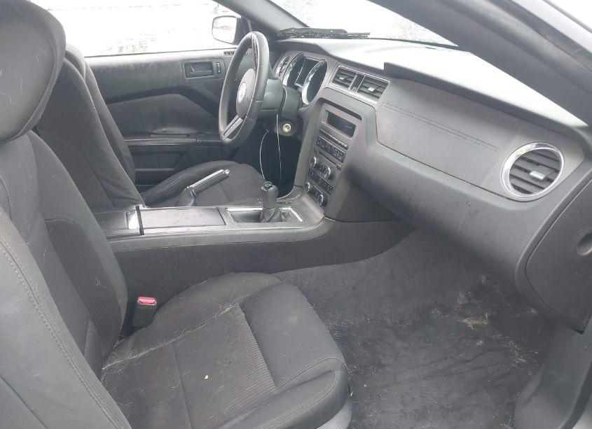 Photo 5 of 2011 Ford Mustang GT (VIN 1ZVBP8CF7B5119637)