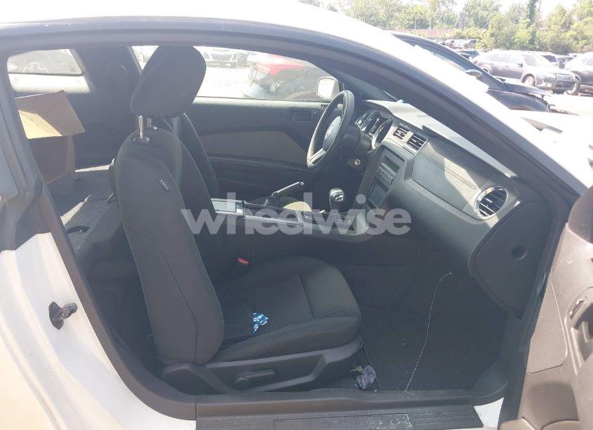 Photo 5 of 2011 Ford Mustang GT (VIN 1ZVBP8CF7B5130783)