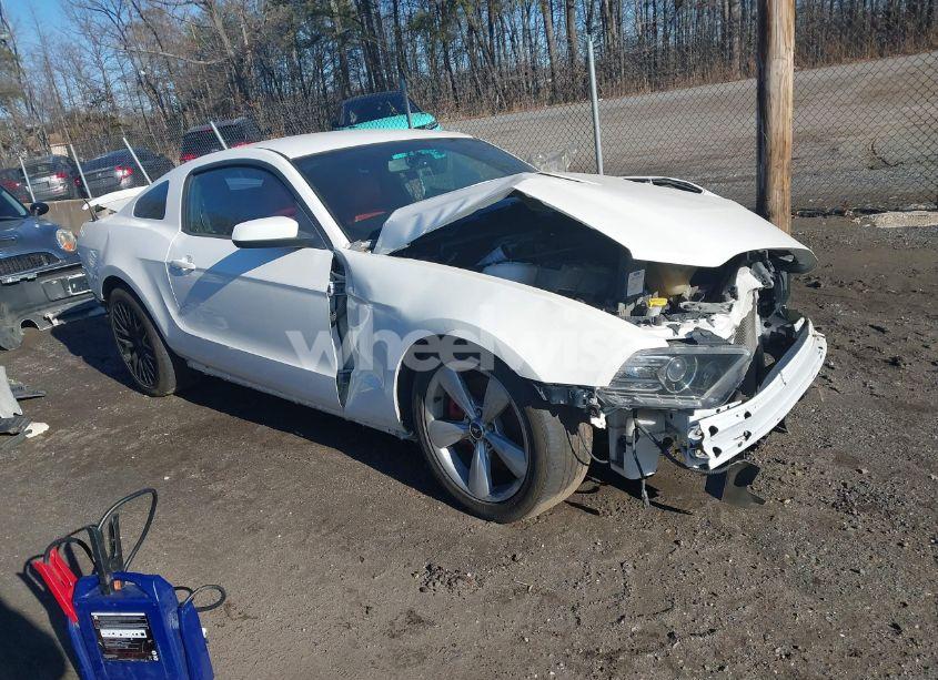 2013 Ford Mustang GT (VIN 1ZVBP8CF7D5205193) main photo