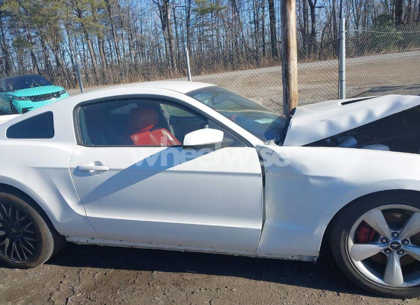 Photo 14 of 2013 Ford Mustang GT (VIN 1ZVBP8CF7D5205193)