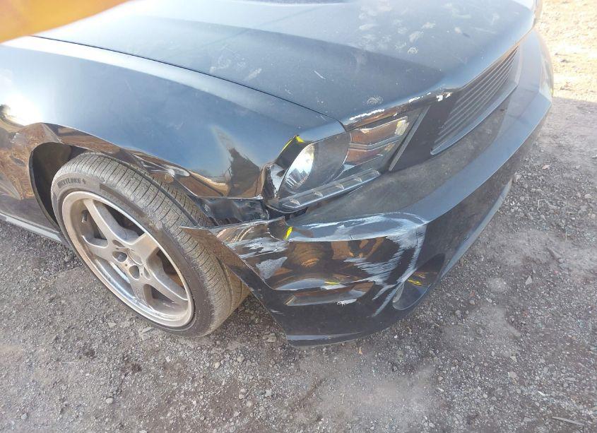 Photo 18 of 2011 Ford Mustang GT PREMIUM (VIN 1ZVBP8CF8B5150590)