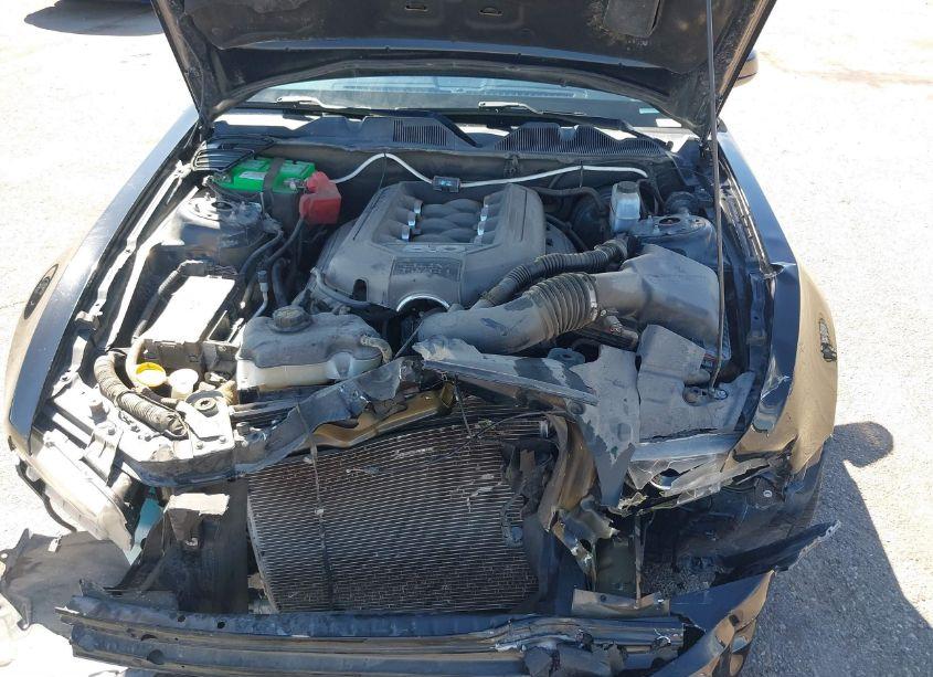 Photo 10 of 2014 Ford Mustang GT PREMIUM (VIN 1ZVBP8CF8E5207858)