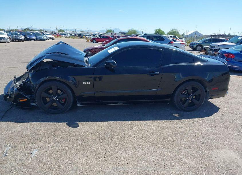 Photo 15 of 2014 Ford Mustang GT PREMIUM (VIN 1ZVBP8CF8E5207858)