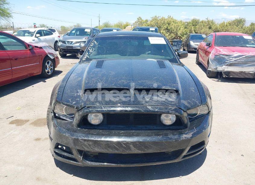 Photo 13 of 2014 Ford Mustang GT (VIN 1ZVBP8CF8E5237801)