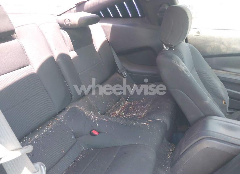 Photo 8 of 2014 Ford Mustang GT (VIN 1ZVBP8CF8E5237801)