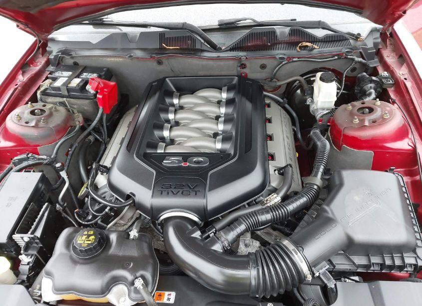 Photo 10 of 2014 Ford Mustang GT (VIN 1ZVBP8CF8E5246997)