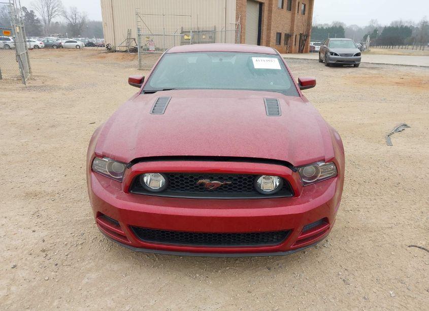 Photo 12 of 2014 Ford Mustang GT (VIN 1ZVBP8CF8E5246997)