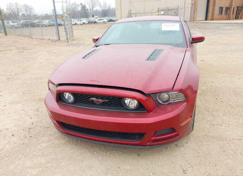 Photo 6 of 2014 Ford Mustang GT (VIN 1ZVBP8CF8E5246997)