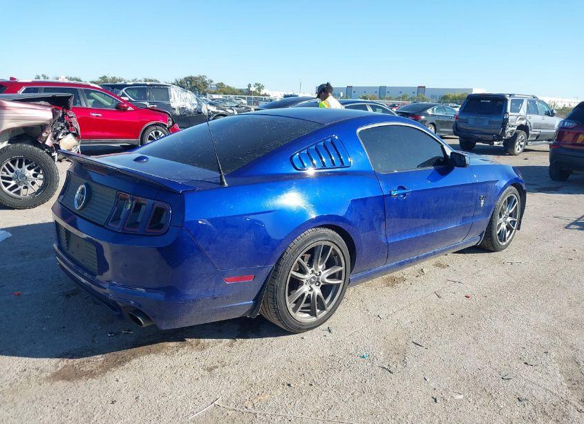 Photo 4 of 2014 Ford Mustang GT PREMIUM (VIN 1ZVBP8CF8E5264092)