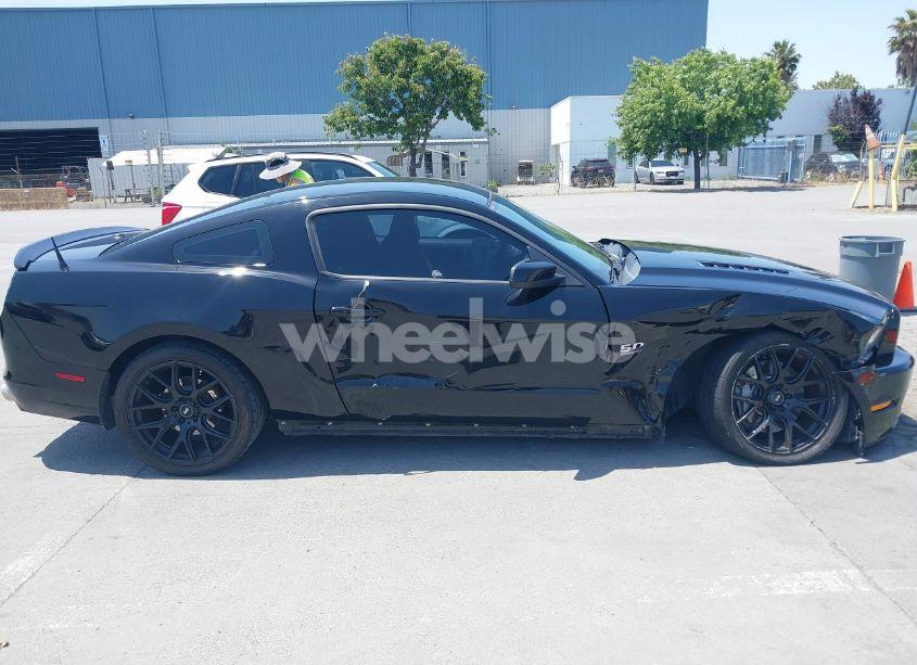 Photo 13 of 2014 Ford Mustang GT PREMIUM (VIN 1ZVBP8CF8E5296735)