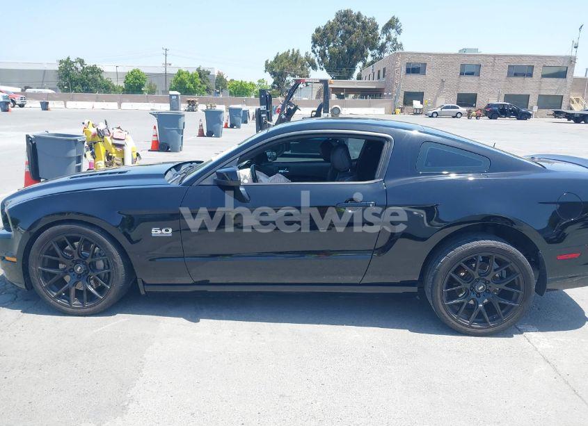 Photo 14 of 2014 Ford Mustang GT PREMIUM (VIN 1ZVBP8CF8E5296735)