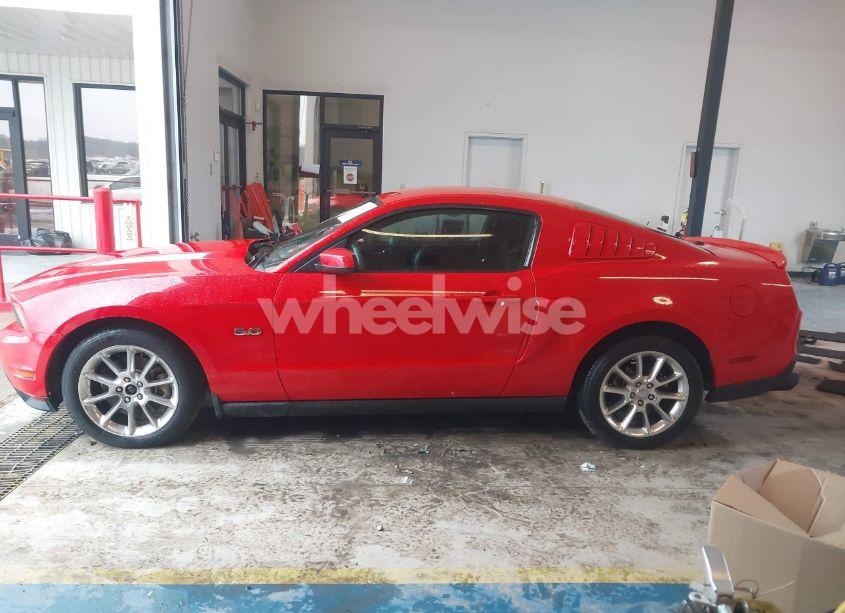 Photo 14 of 2011 Ford Mustang GT PREMIUM (VIN 1ZVBP8CF9B5161341)