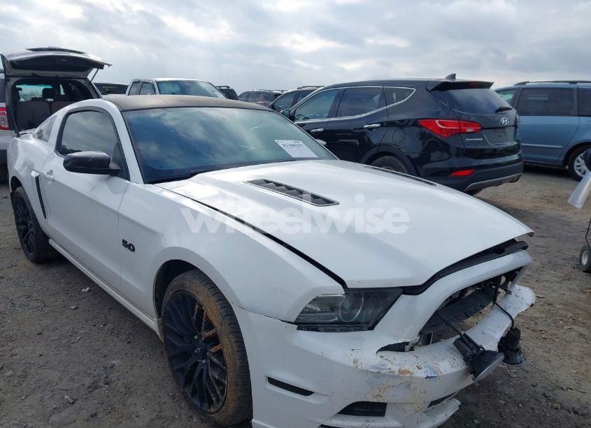 2013 Ford Mustang GT PREMIUM (VIN 1ZVBP8CF9D5230824) main photo