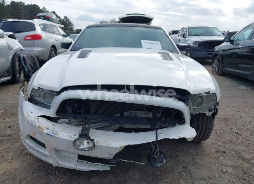 Photo 12 of 2013 Ford Mustang GT PREMIUM (VIN 1ZVBP8CF9D5230824)