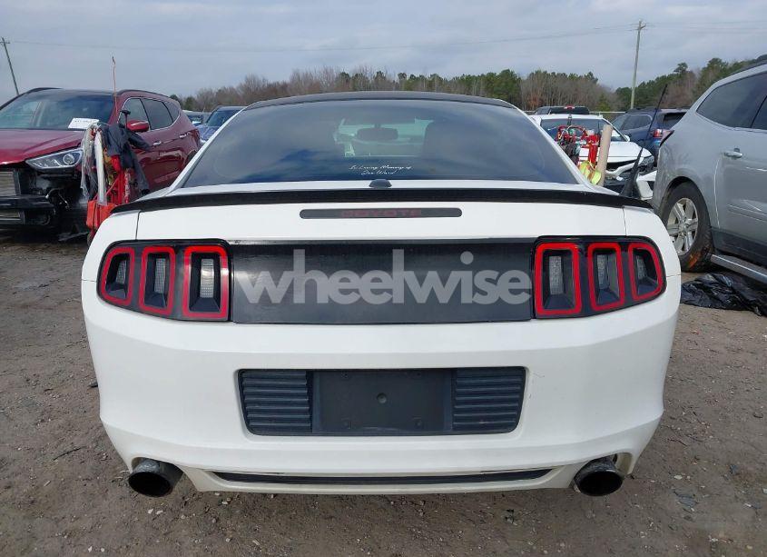 Photo 16 of 2013 Ford Mustang GT PREMIUM (VIN 1ZVBP8CF9D5230824)