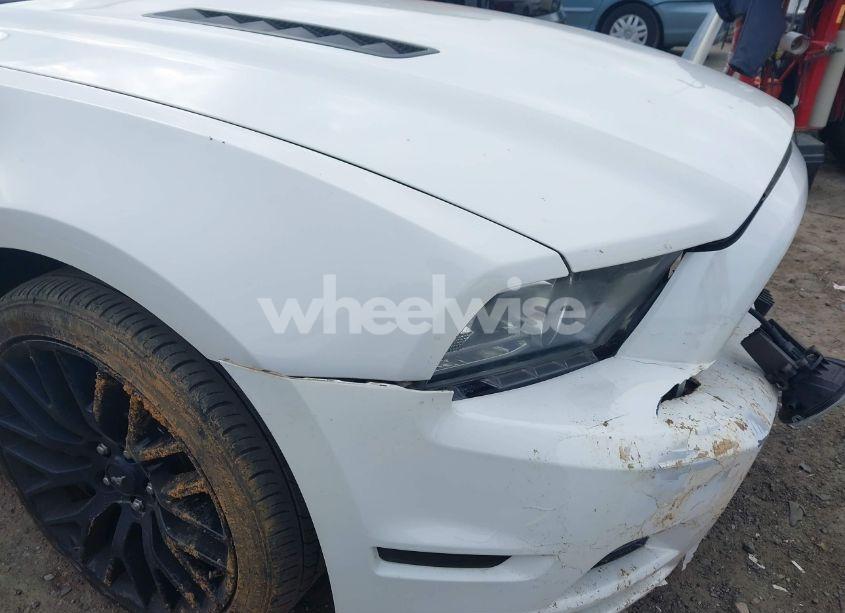 Photo 20 of 2013 Ford Mustang GT PREMIUM (VIN 1ZVBP8CF9D5230824)