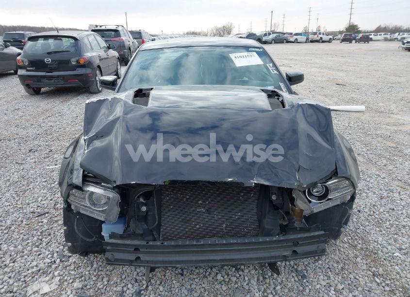 Photo 12 of 2013 Ford Mustang GT PREMIUM (VIN 1ZVBP8CF9D5233318)