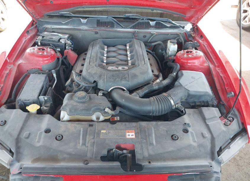 Photo 10 of 2014 Ford Mustang GT (VIN 1ZVBP8CF9E5327068)