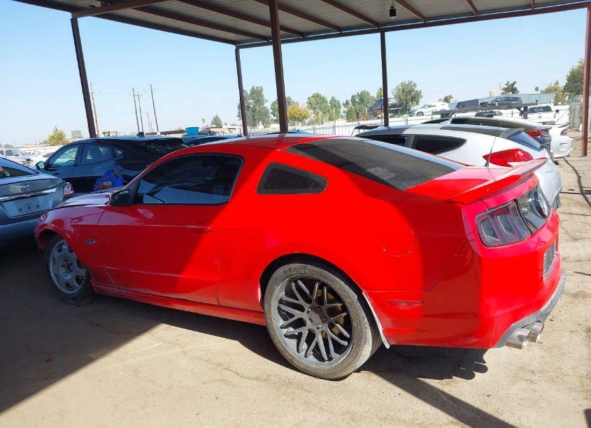 Photo 14 of 2014 Ford Mustang GT (VIN 1ZVBP8CF9E5327068)